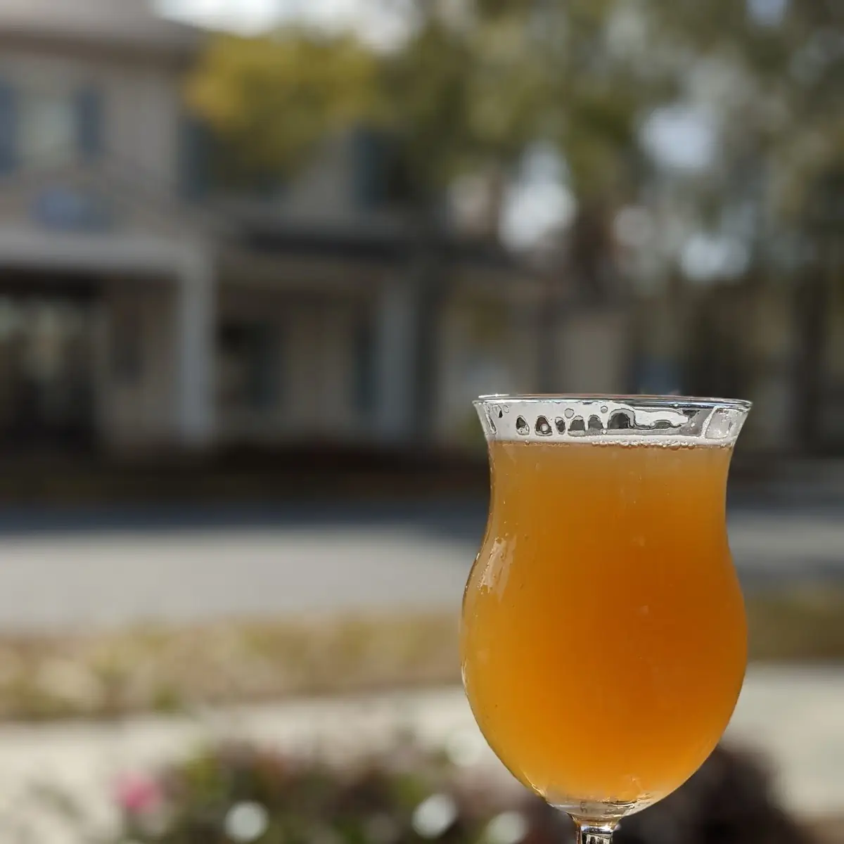Small Batch Hard Cider