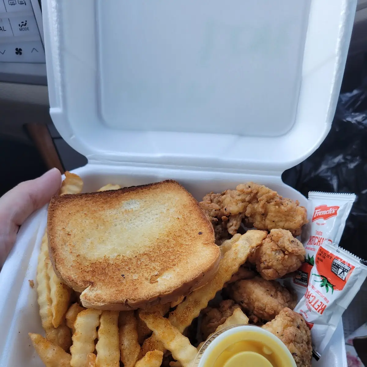 Chicken Bites and Fries