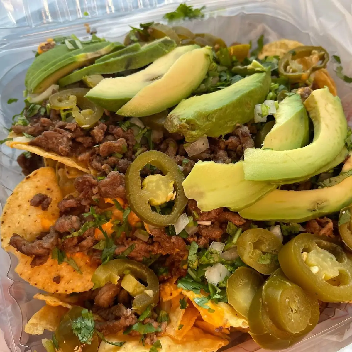 Carne Asada Nachos