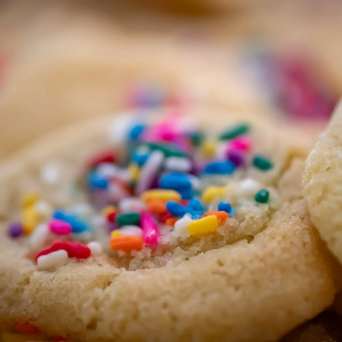 Sugar Cookie