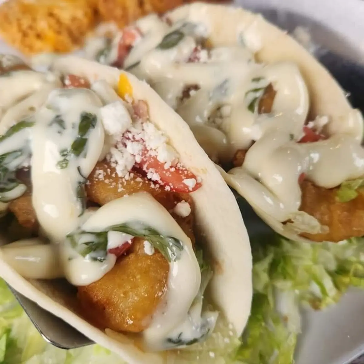 Shrimp Tacos