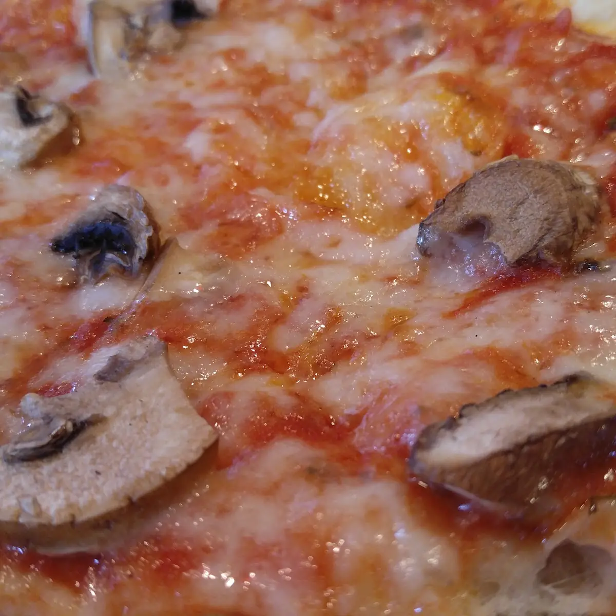 Mushroom Pizza