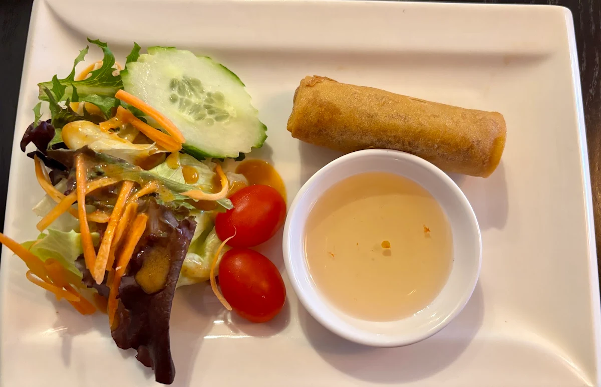 Spring Roll and Salad