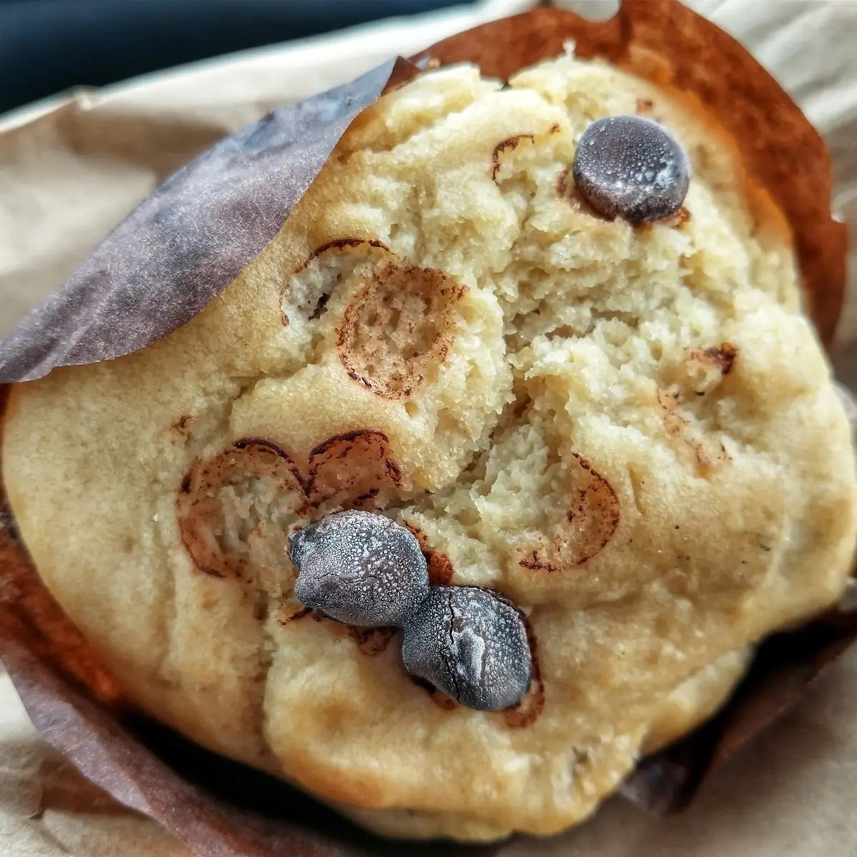 Double Chocolate Muffin