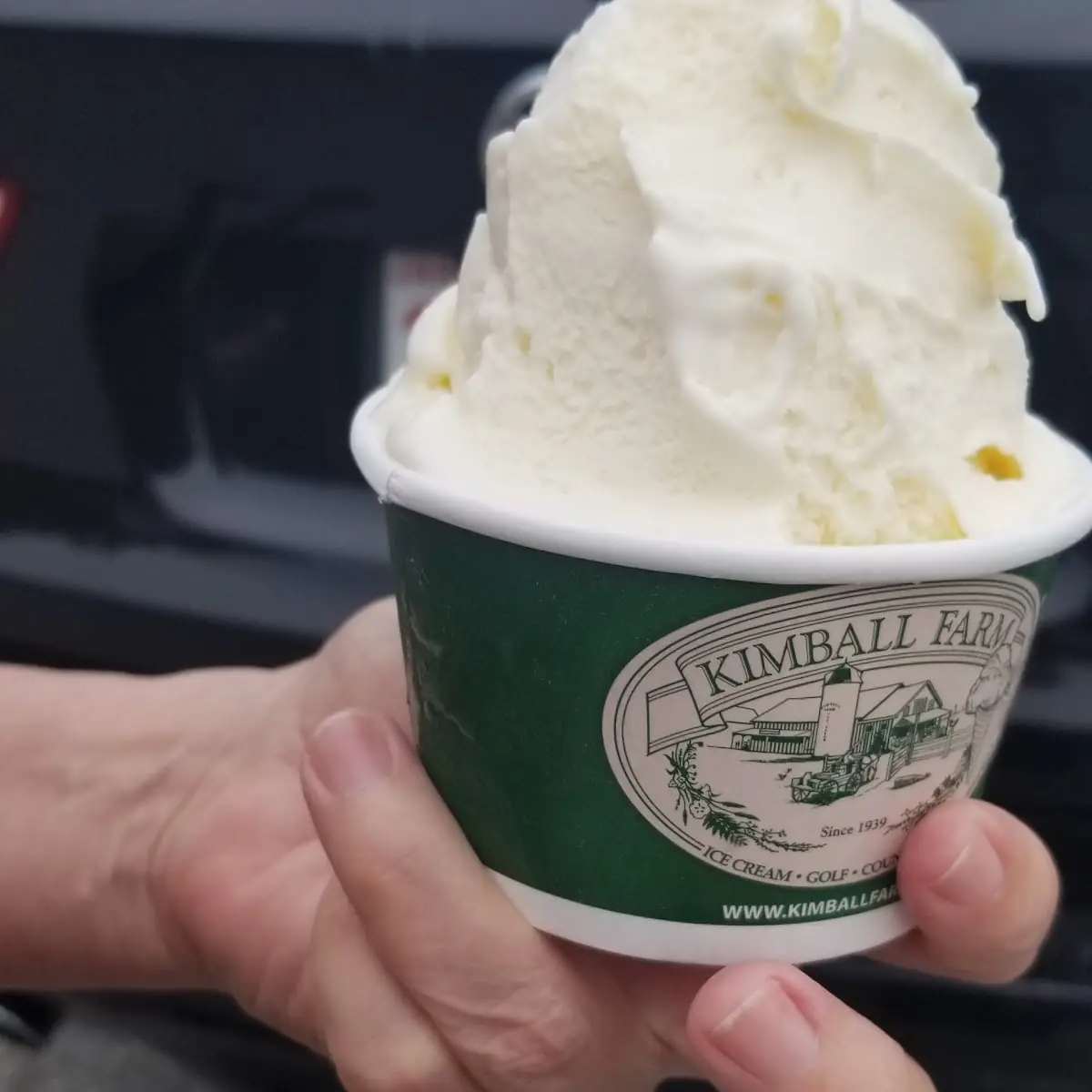 Vanilla Ice Cream