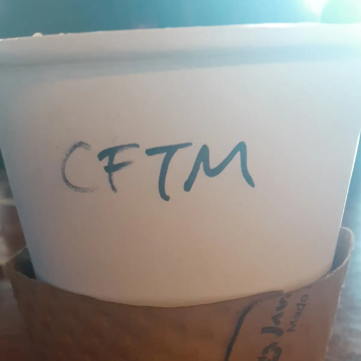 Tumeric Chicken Salad Cinnamon Machiato