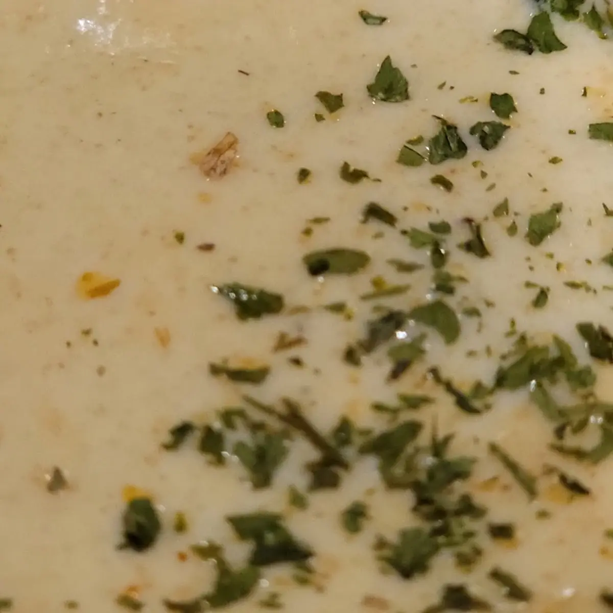 Onion Soup