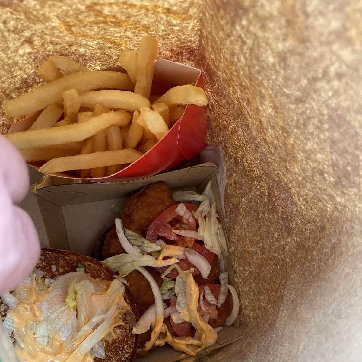 World Famous Fries