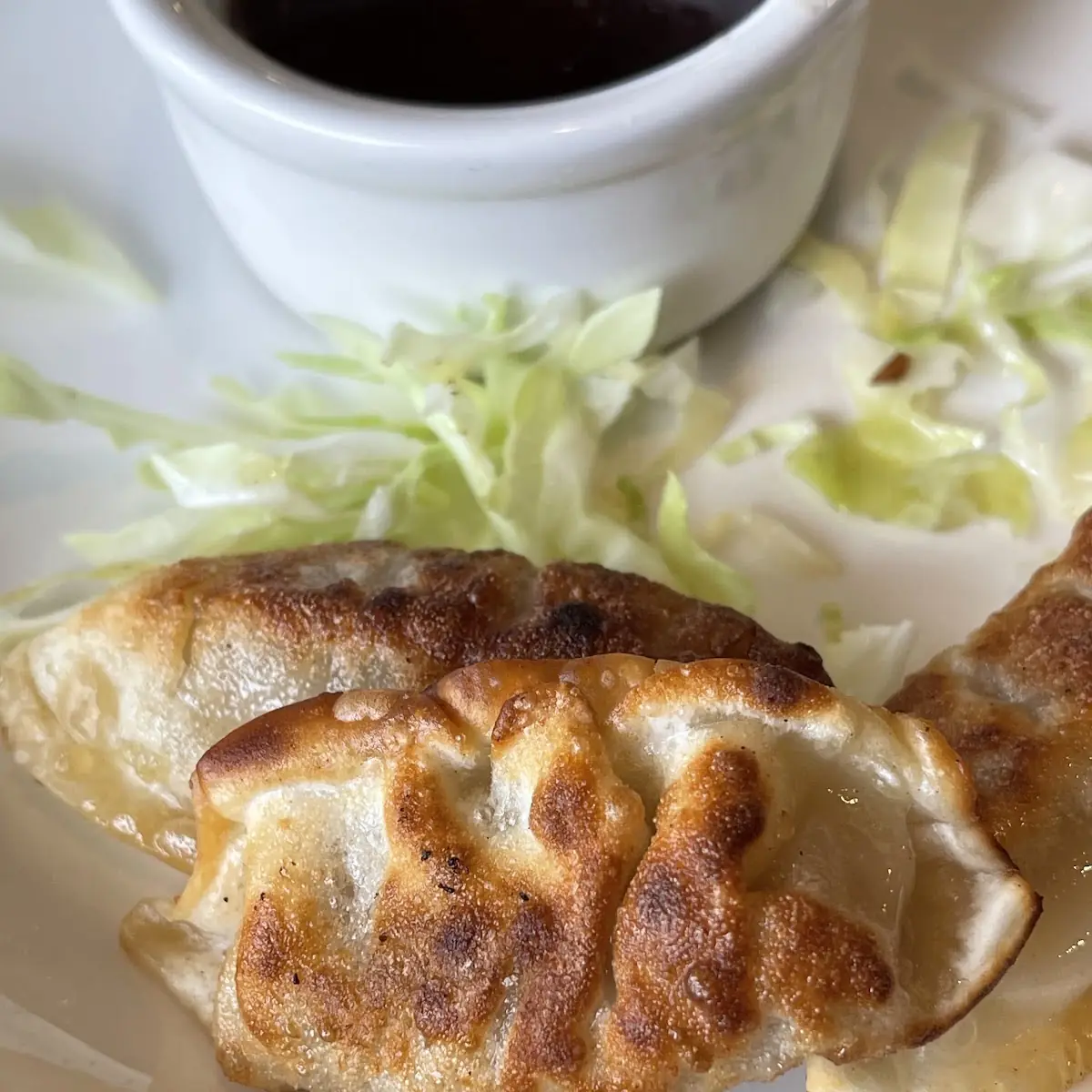 Pork Gyoza Steamed Pan-Fried Deep-Fried