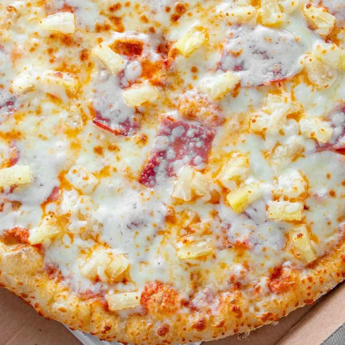 Cheese Pizza 10