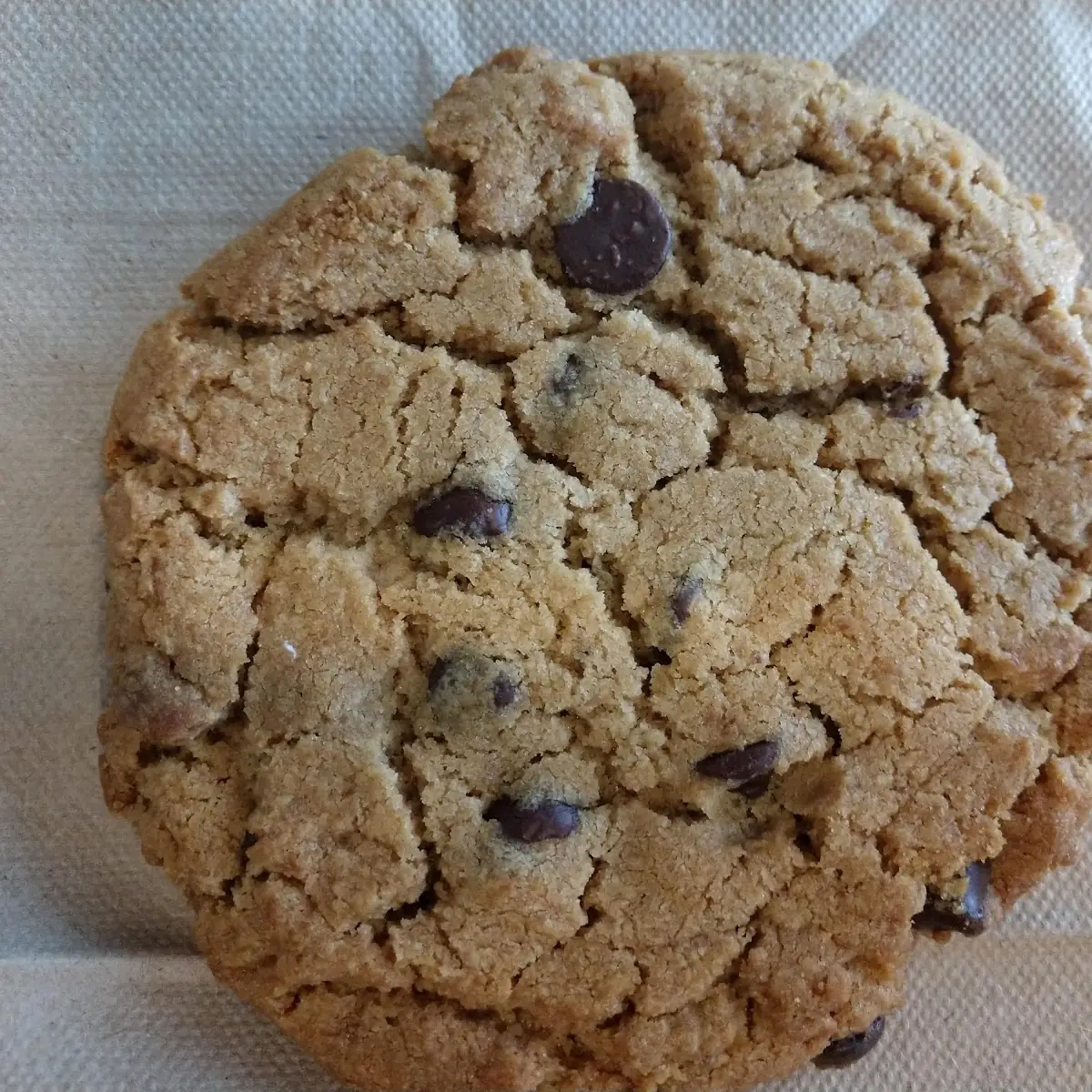 Chocolate Chip Cookie