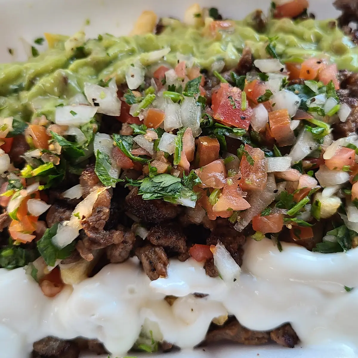 Carne Asada Fries