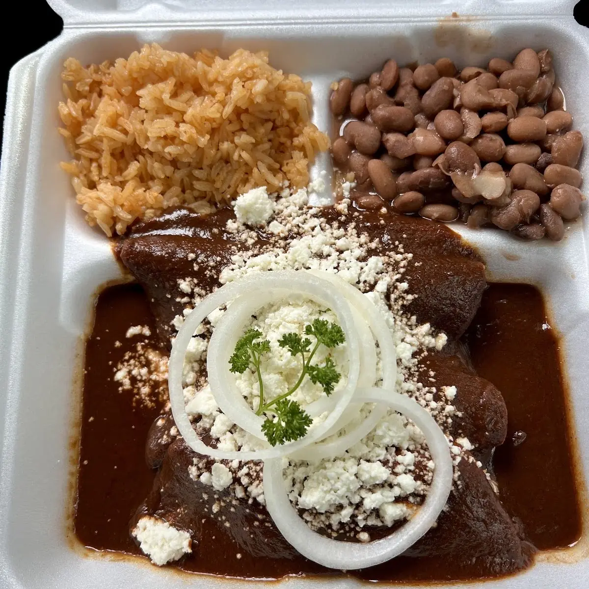 Mole Enchilada Plate
