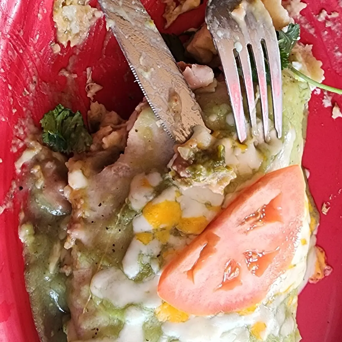 Wet Chili Verde Burrito