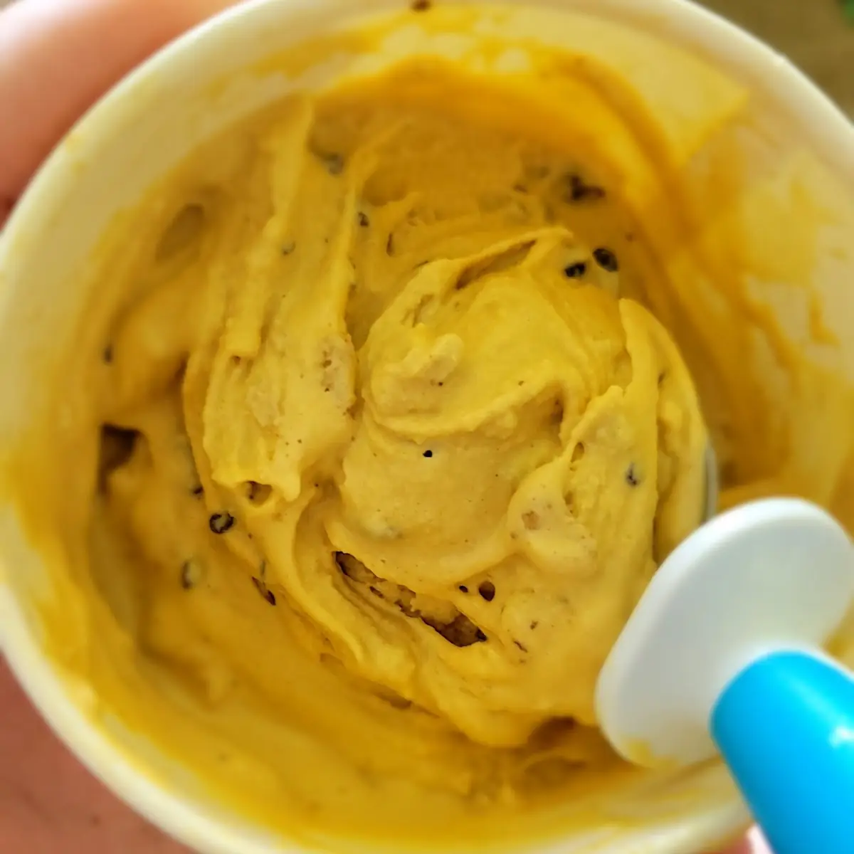 Graham Cracker Ice Cream