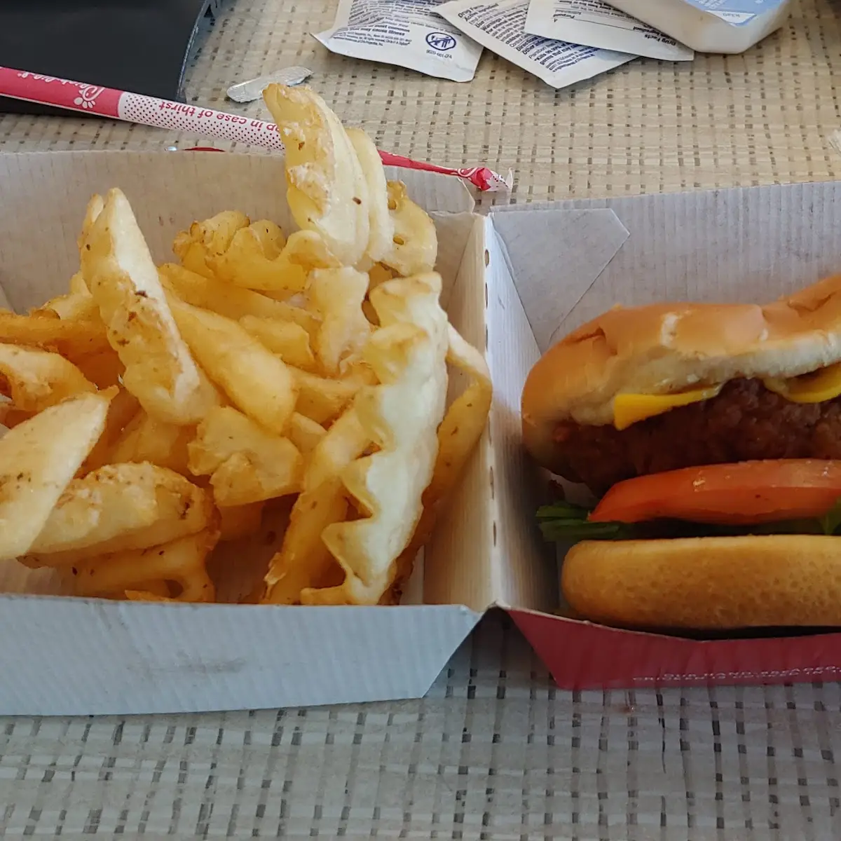 Chicken Sandwich and Waffle Fries