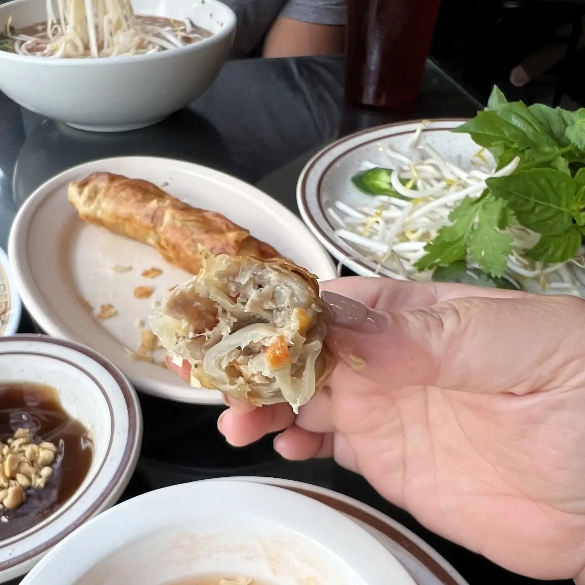 Spring Rolls