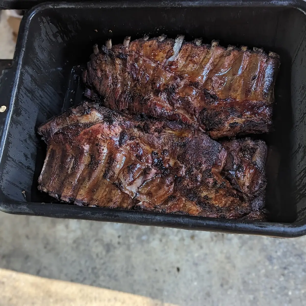 Pork Ribs