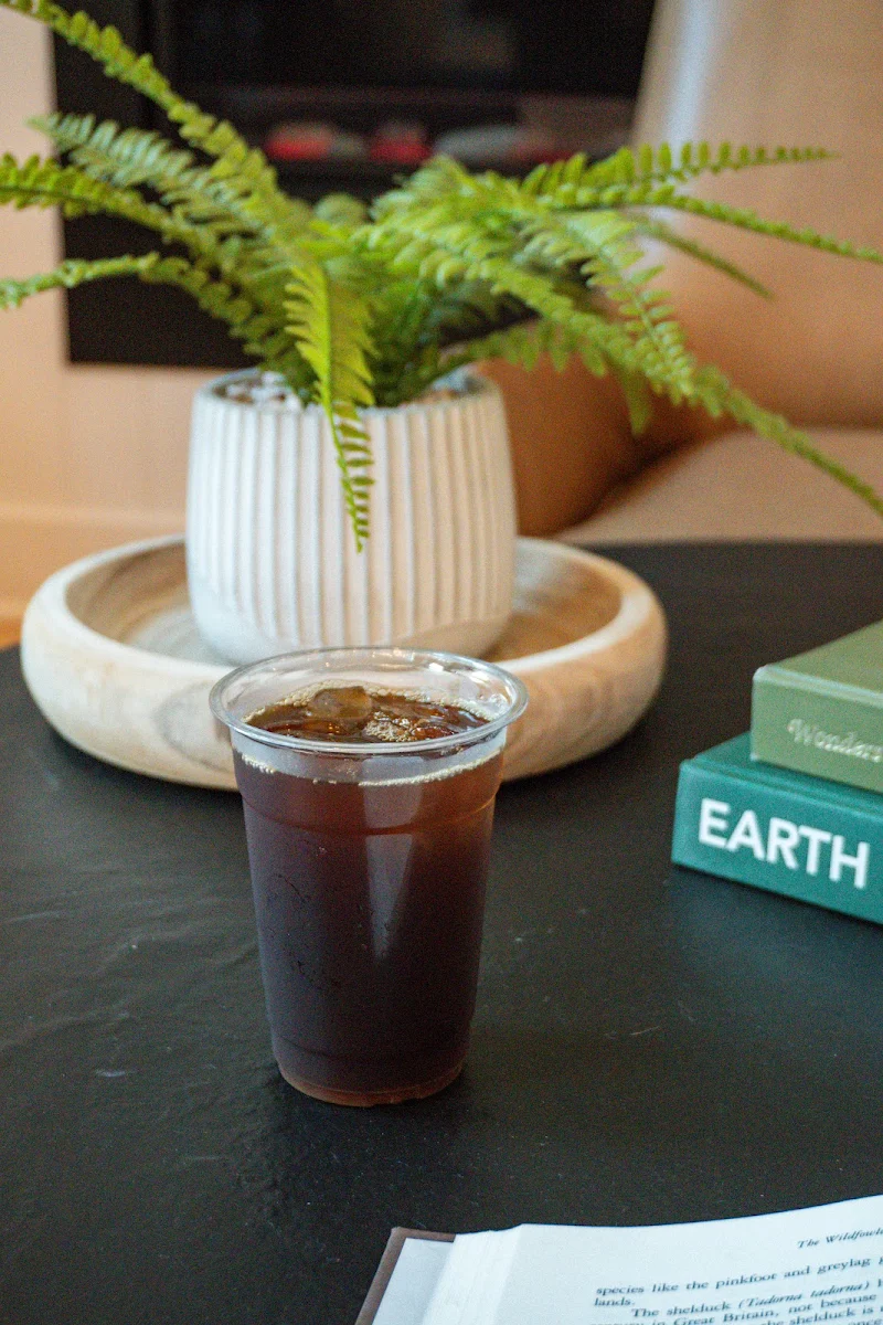 Iced Americano