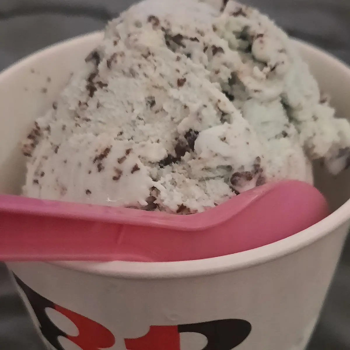 Mint Chocolate Chip
