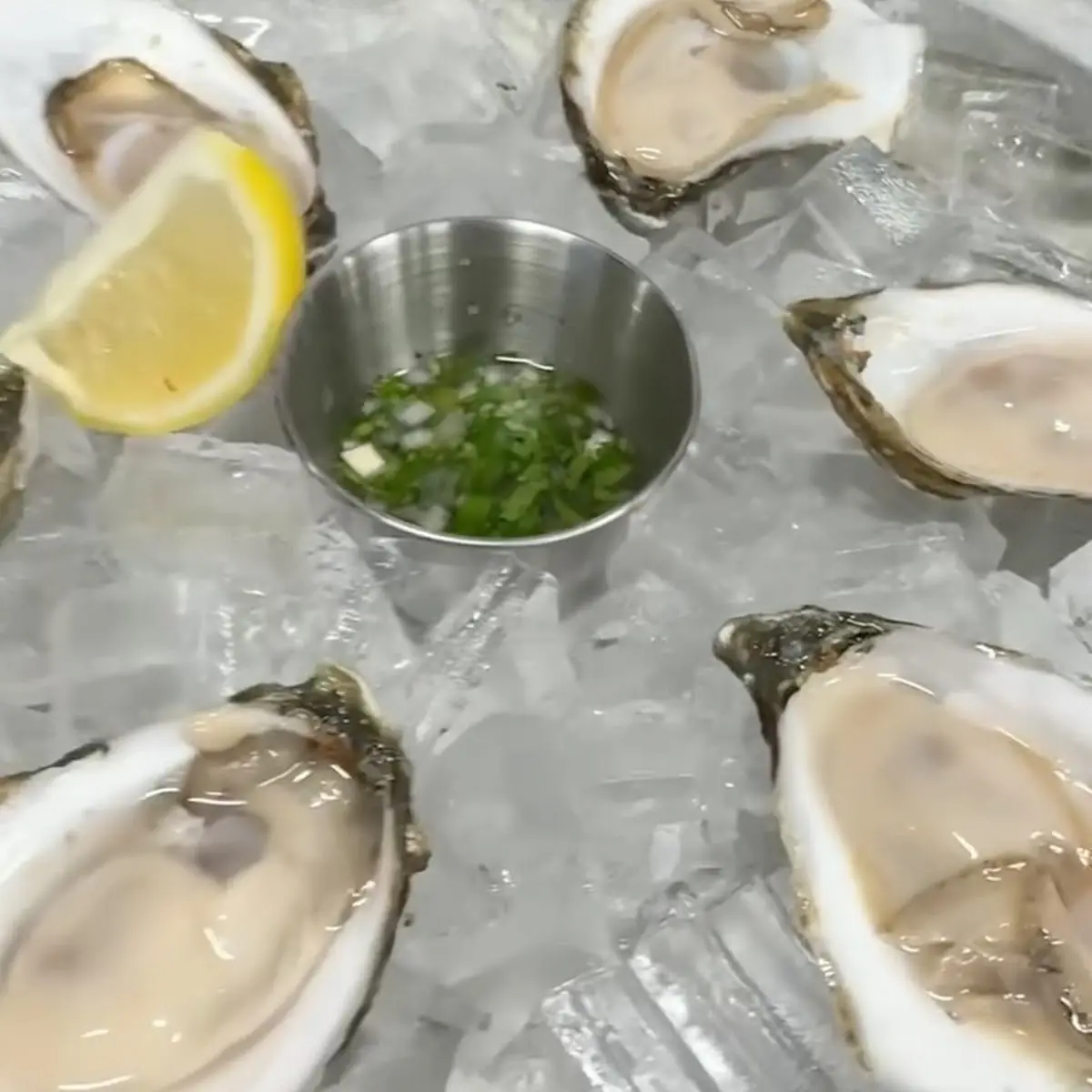 Six Oysters on Ice with Sauce