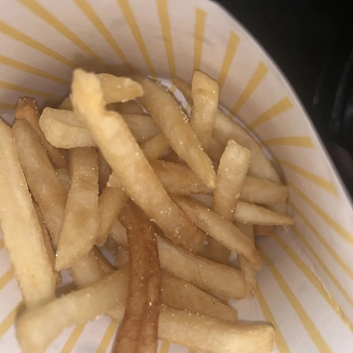 World Famous Fries