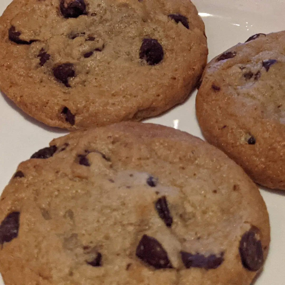 Chocolate Chip Cookie