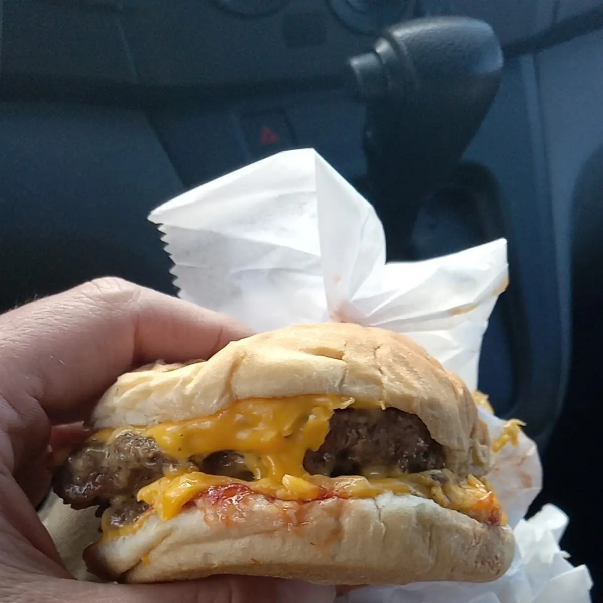 Double Cheeseburger