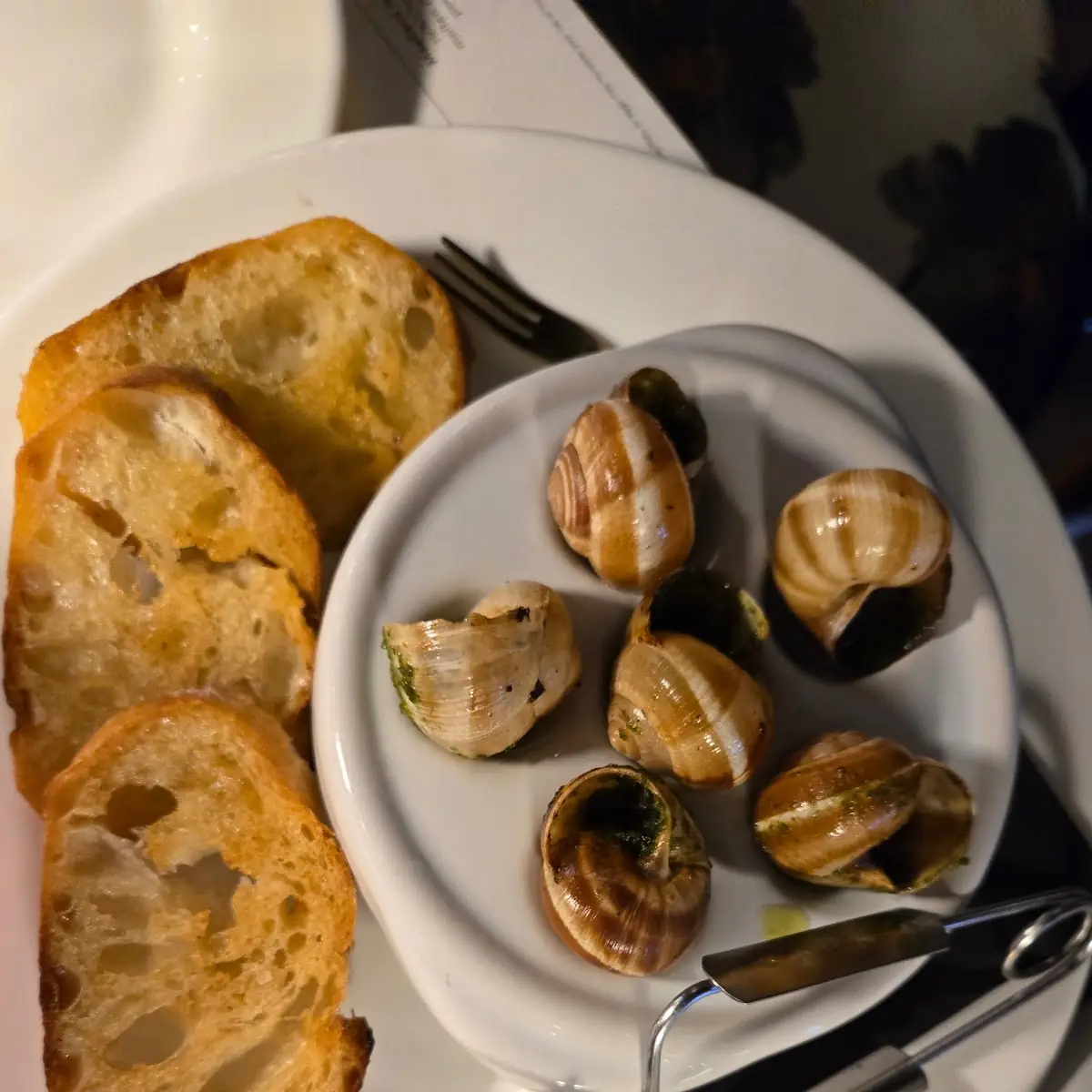 Escargot in Shell