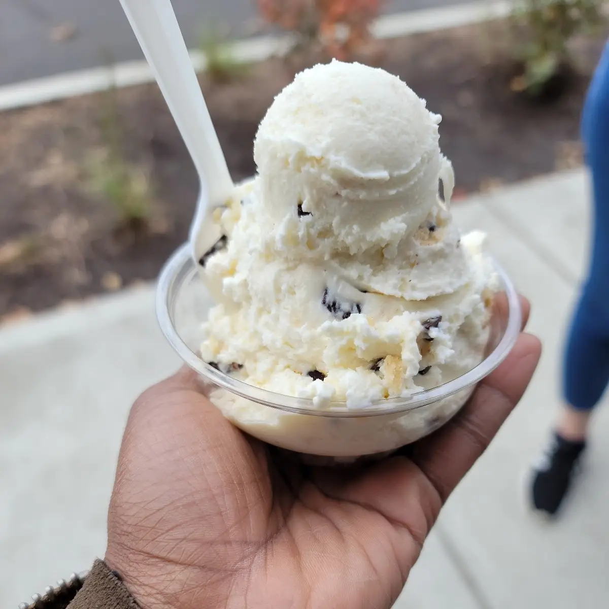 Chocolate Chip Cookie Dough