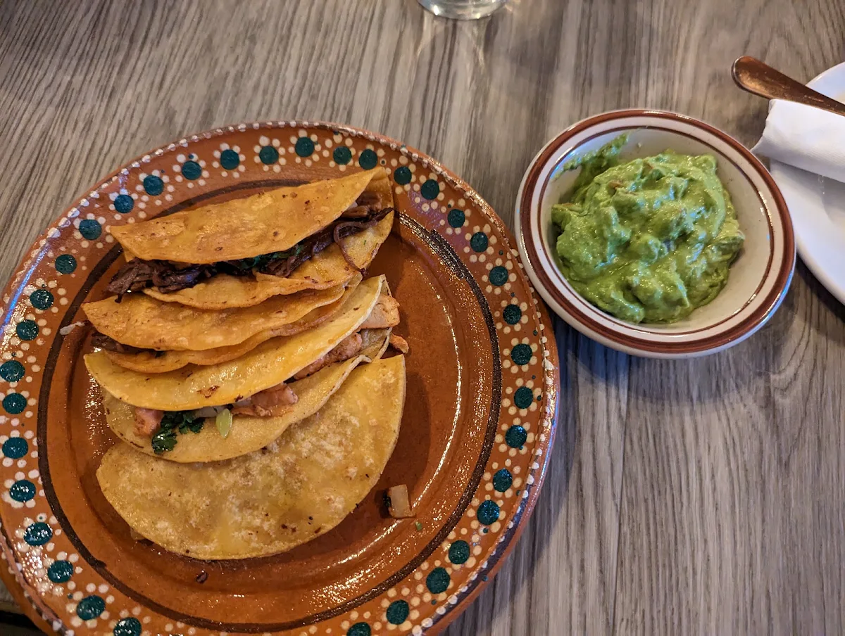 El Pastor and Barbacoa Toasted Flour Taco