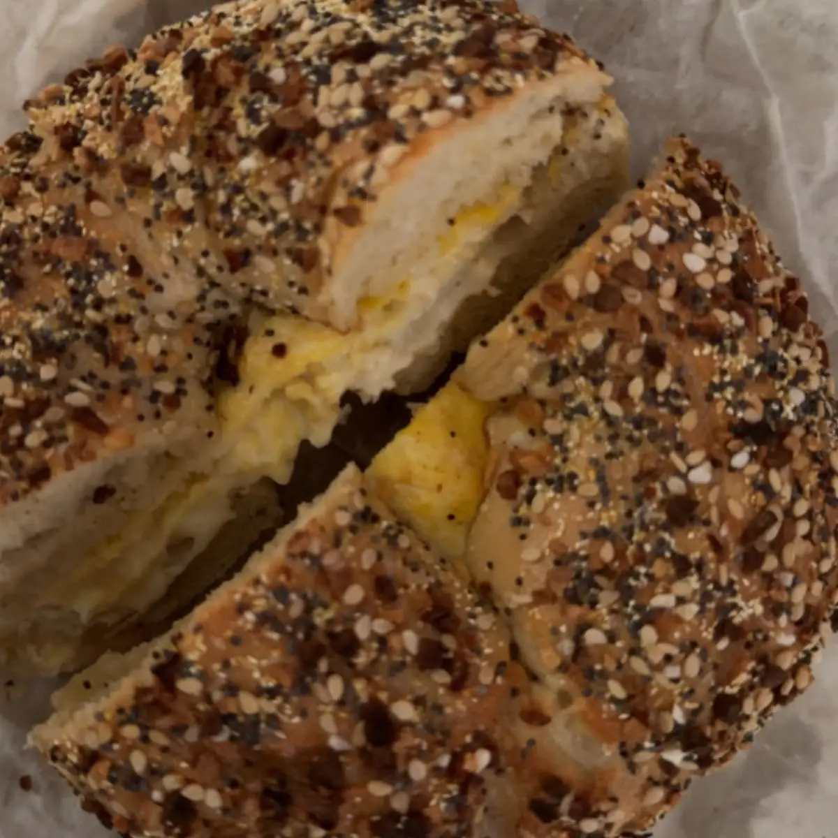 Egg & Cheese on Everything