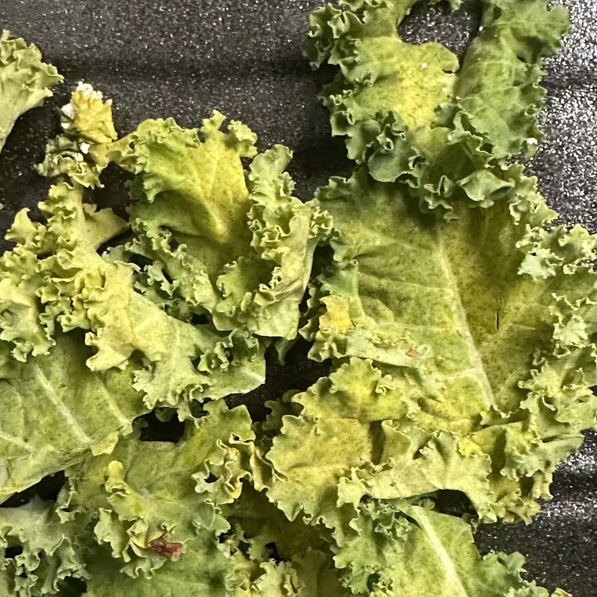 Spicy Kale Cobb (Side Salad)
