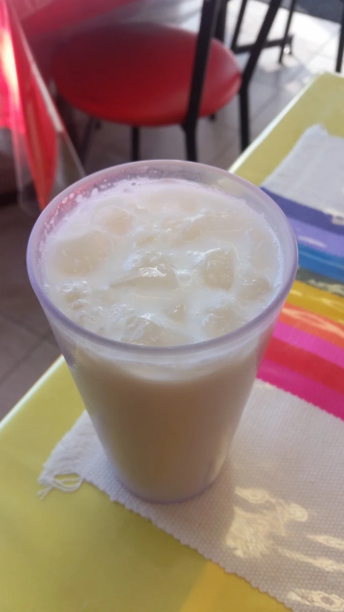 Horchata or Jamaica Water