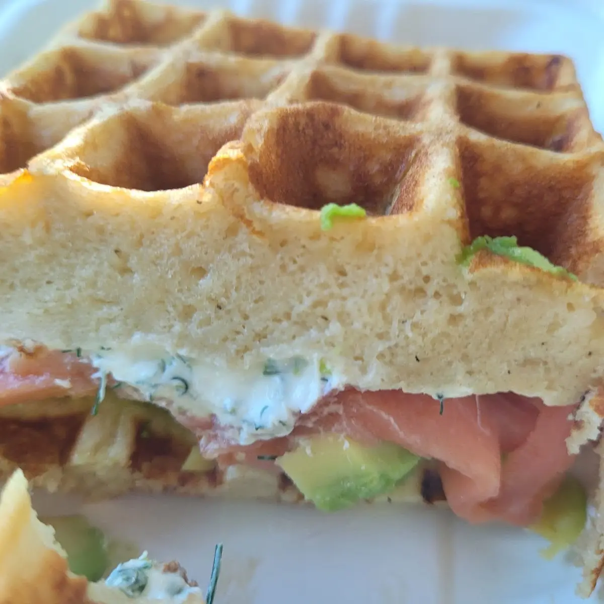 Salmon Cream Cheese Avacado Filling