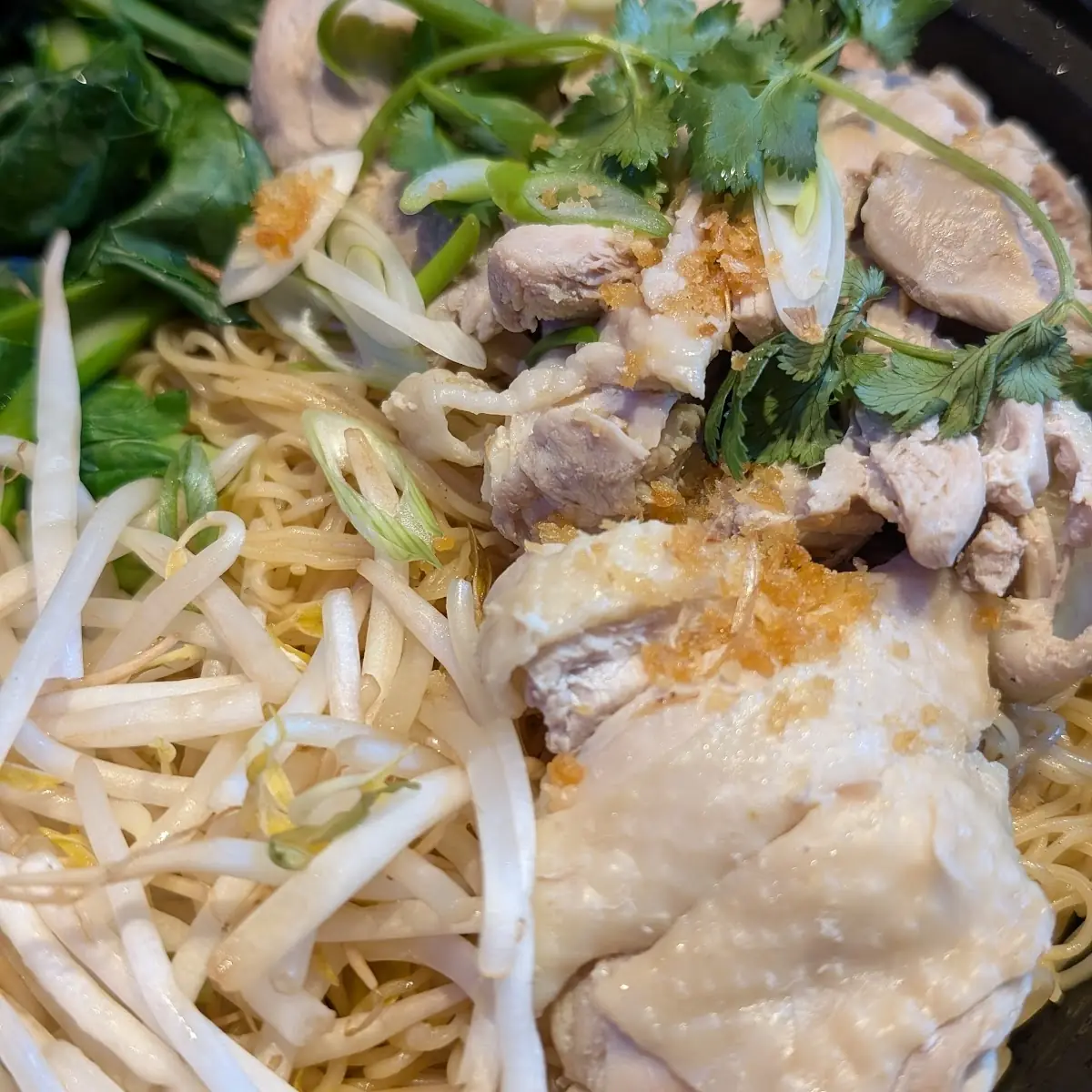 Thai Style Garlic Chicken with Fried Egg