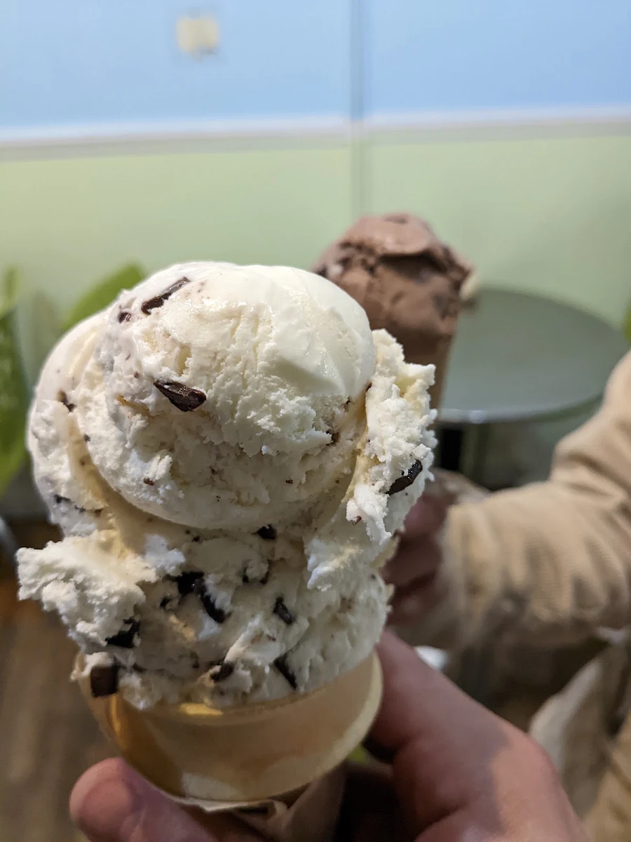 Mint Chocolate Chip