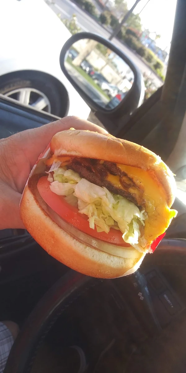Double Double Cheeseburger w Grilled Onions