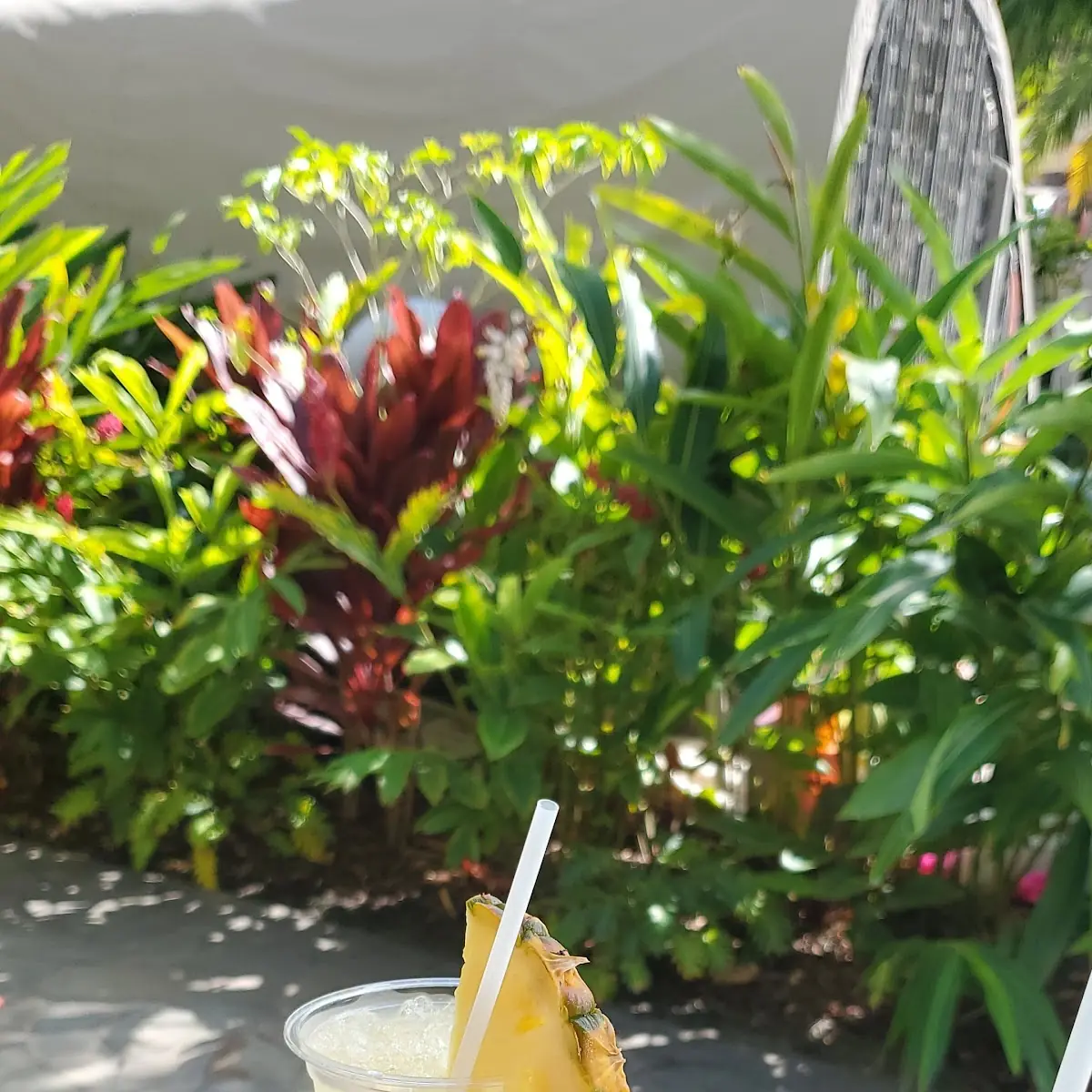 Piña Colada