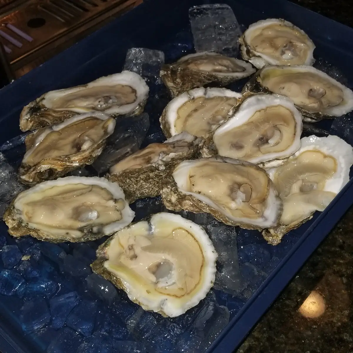 Raw Oysters on Half Shell