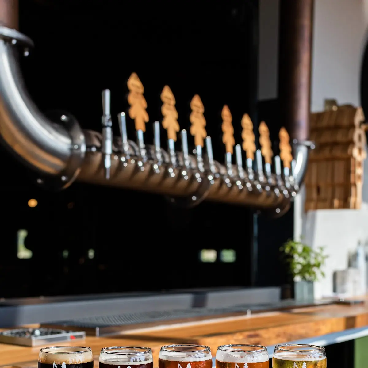Draft Beer