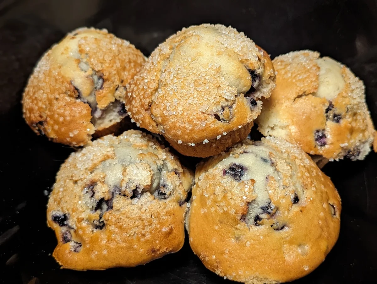 Blueberry Muffin