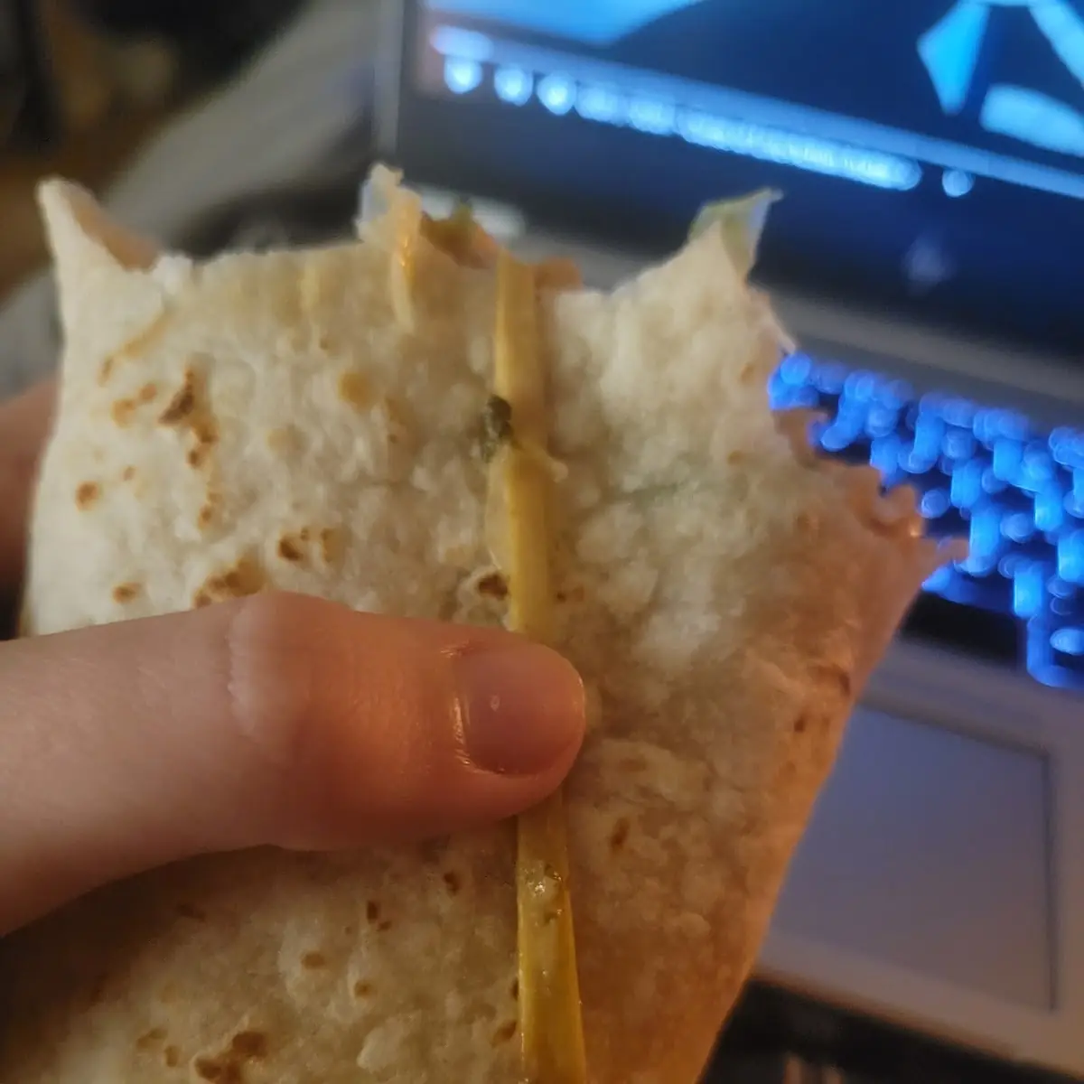 Chile Relleno Burrito