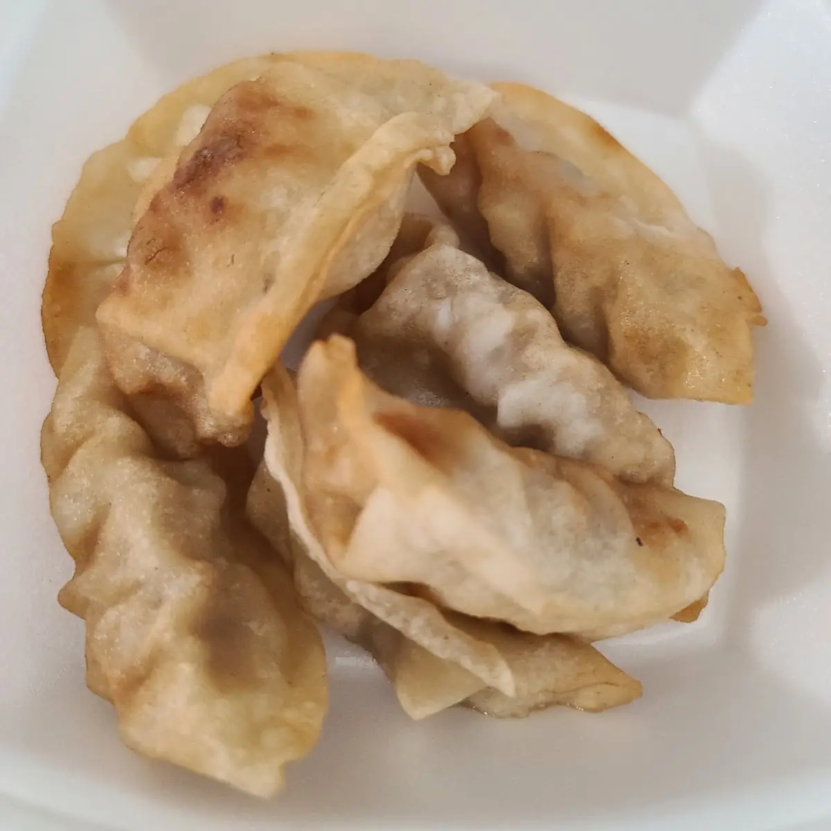 Steamed or Fried Dumplings