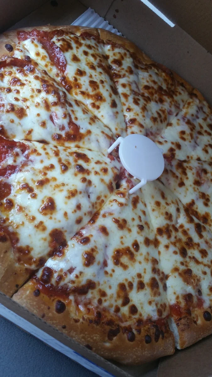 Extra Cheese Pizza