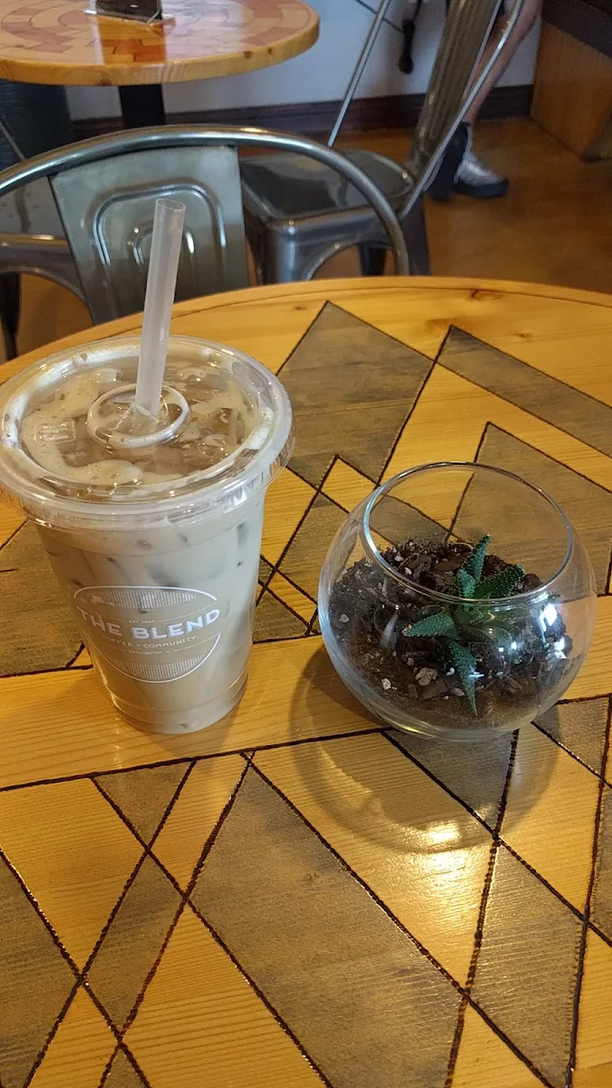 Iced Mocha
