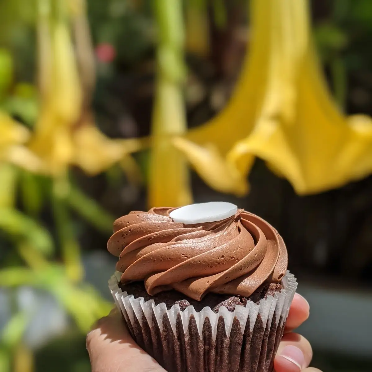 Vegan Chocolate Cupcake