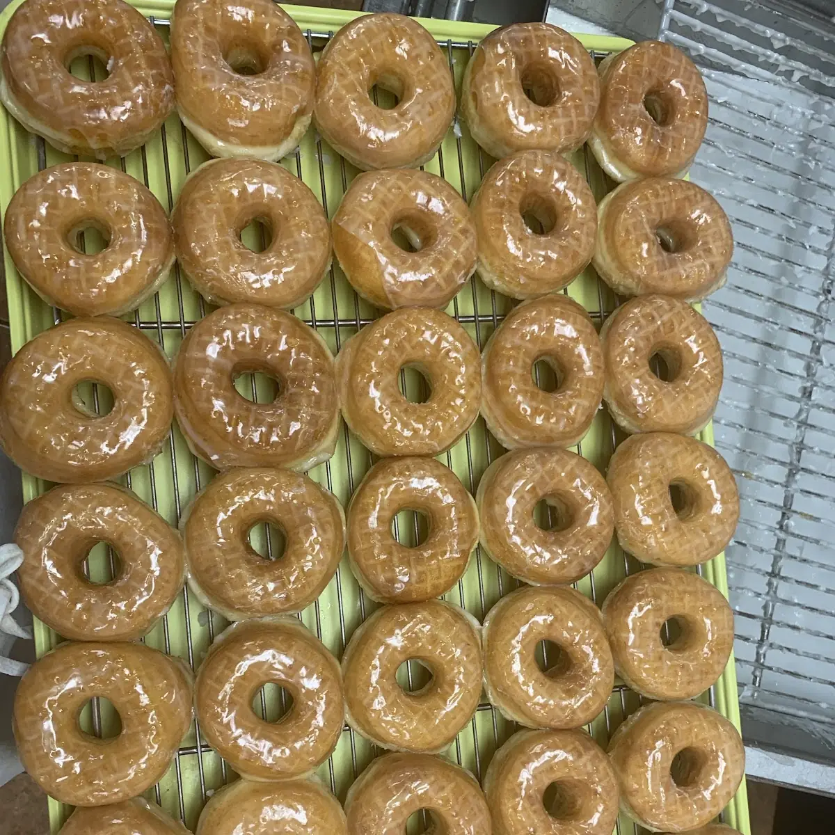 Doughnut