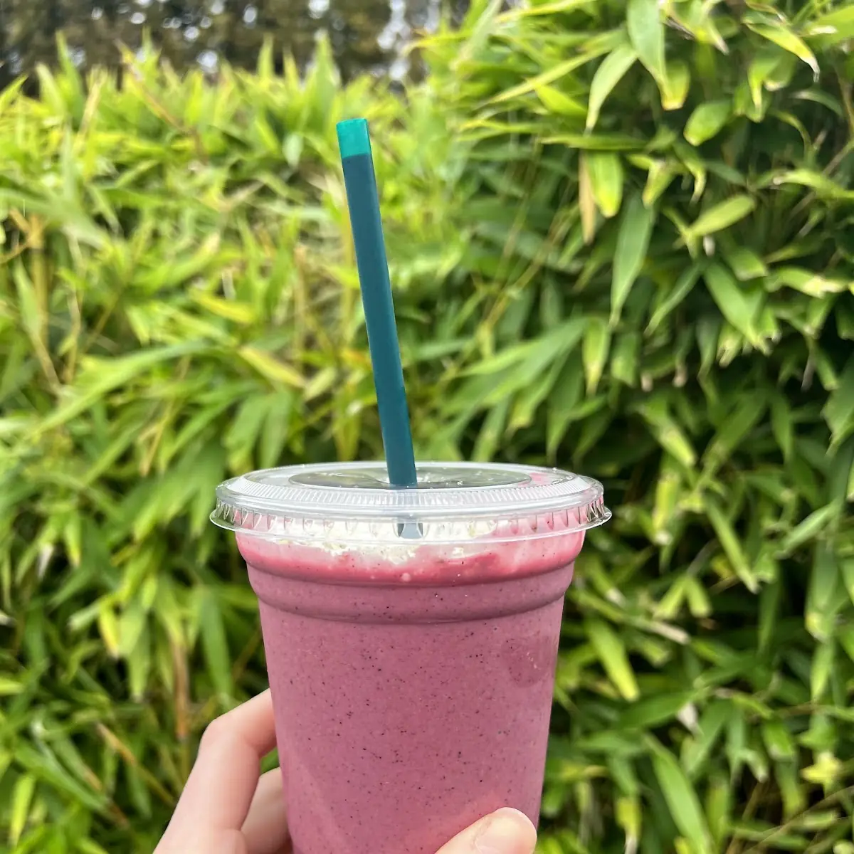 Smoothie