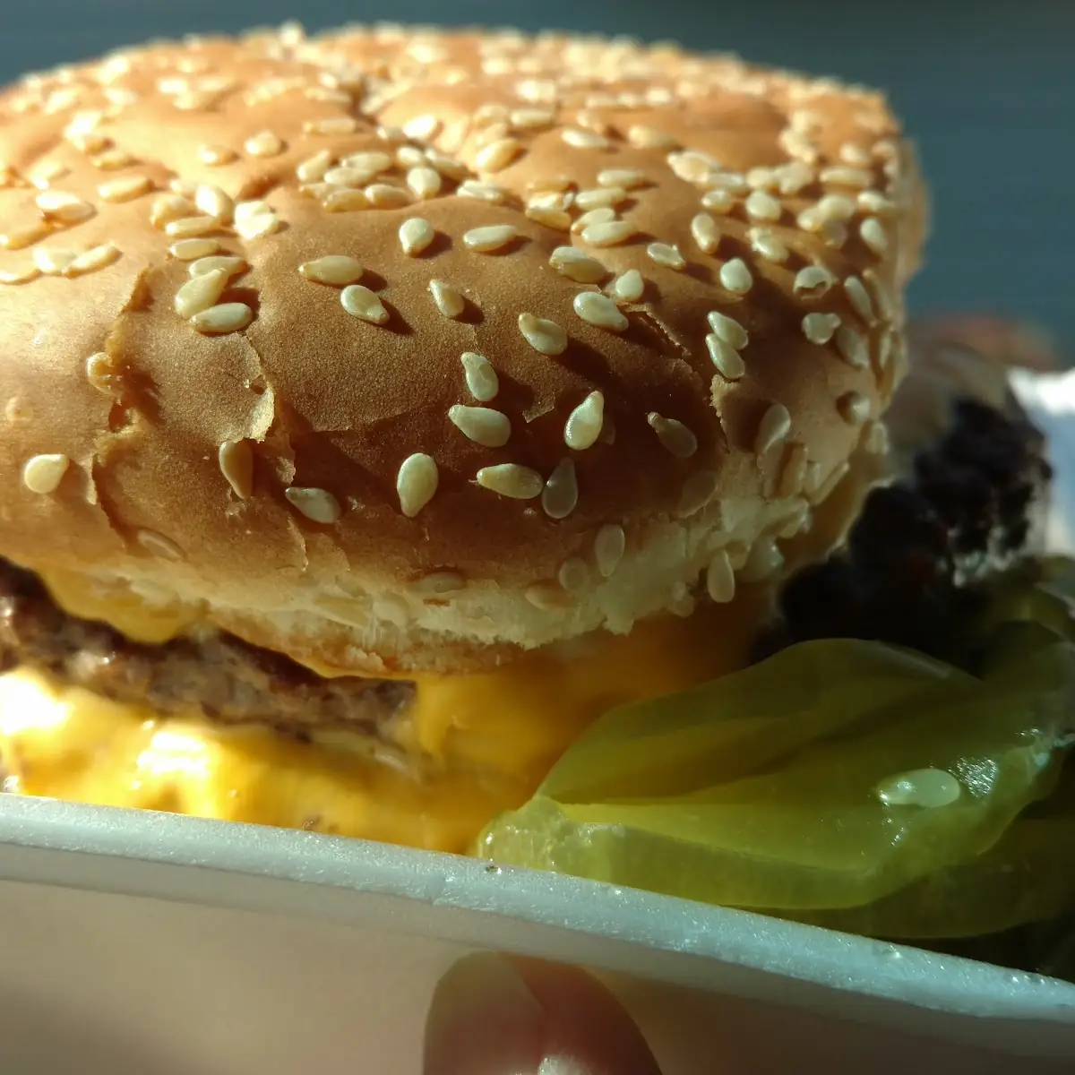 Double Cheeseburger mmmm